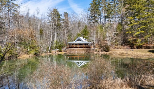 2 Private Homes w/Pond, Views & Fire Pit + Biltmore Pass | Pet-Friendly