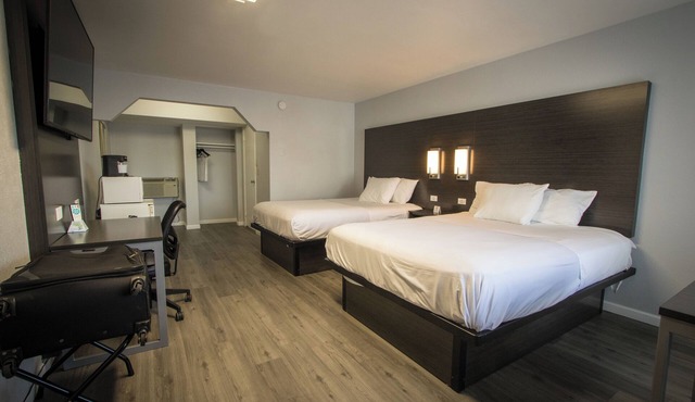 2 Queen No Smoking No Pet