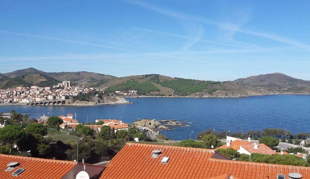 2-room apartment with AC and parking in Banyuls-sur-Mer