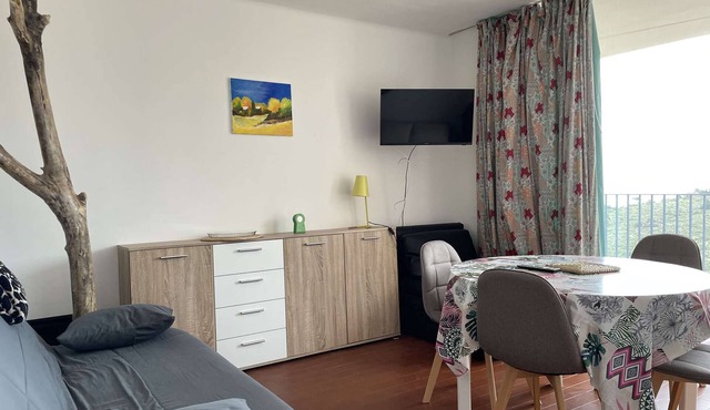 2-room apartment with air conditioning in Banyuls-sur-Mer