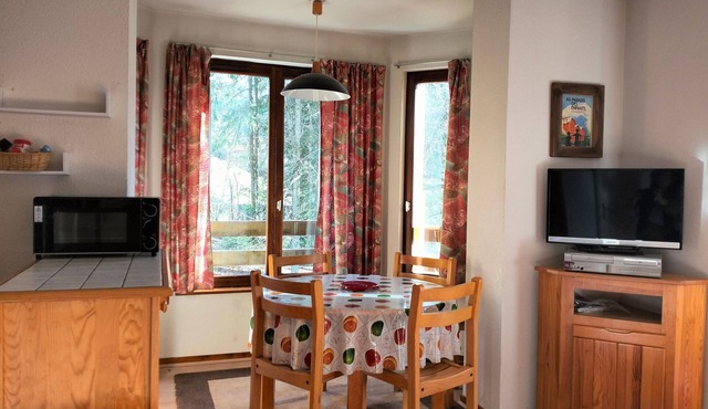 2-room apartment near slopes, balcony, sleeps 4-6