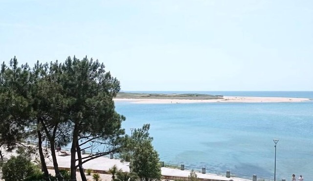 2 room apartment for 4 people - Superb sea view from the terrace 50 m from the beach