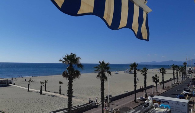 2-Room Apartment Sea View in Canet-Plage