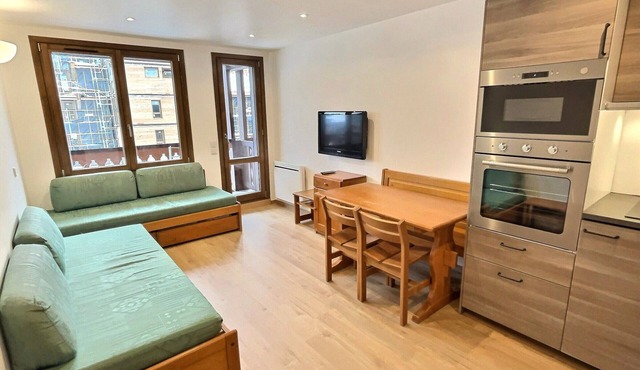 2-room apt, 4 ppl, near center & slopes, pets allowed