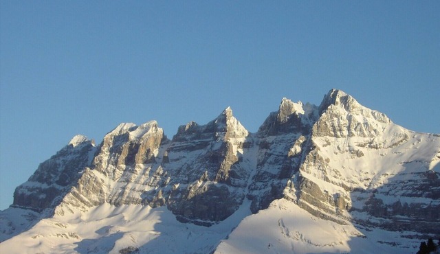2-room aptmt in super ski area Portes du Soleil with a view of Les Dents du Midi