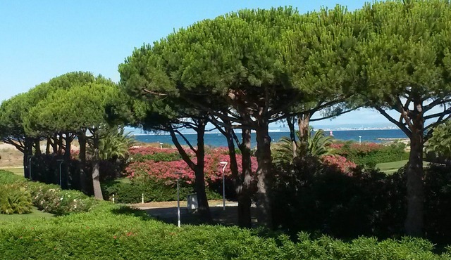 2-room cabin studio with view of the sea in Port-Camargue