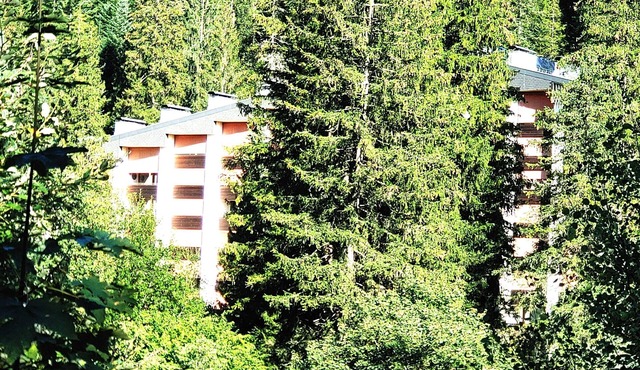 2-room holiday flat with swimming pool and sauna