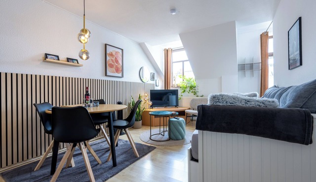 2 Room Sonnenberg Wifi/Netflix in Chemnitz
