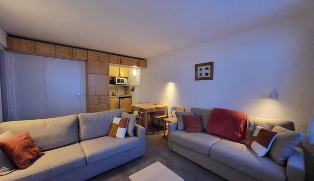2-room south-facing apartment with Wifi 500m from slopes