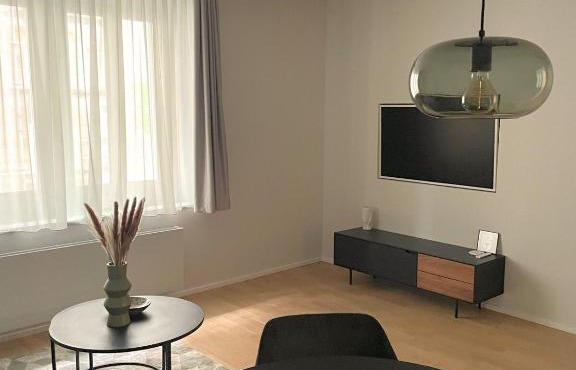 2 rooms apartment in district 4