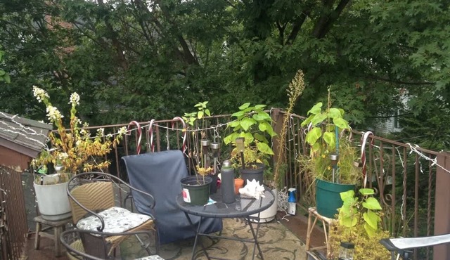 2 rooms close to Medical