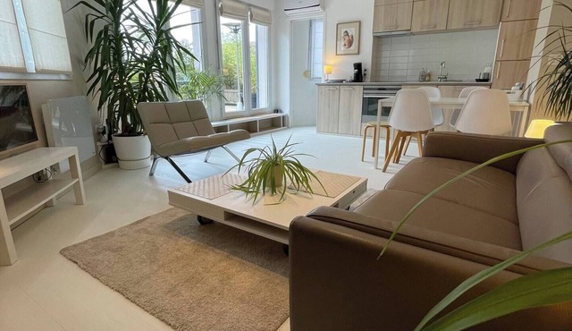 2 rooms old lille, superb terrace, parking