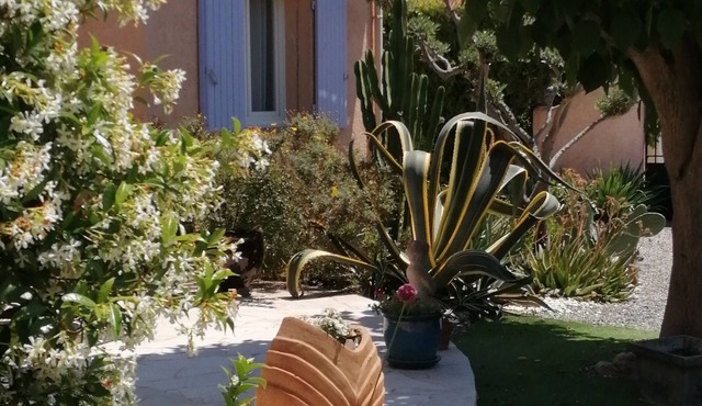 2 rooms on garden level small charming house rated 3 stars