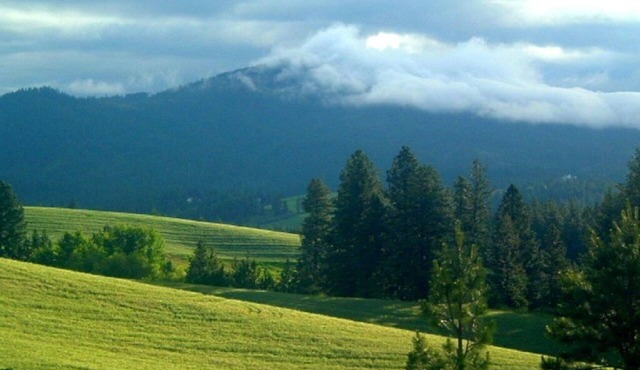 2 Rooms: Quiet queen & twin rooms on an alpaca farm for 2-4 guests