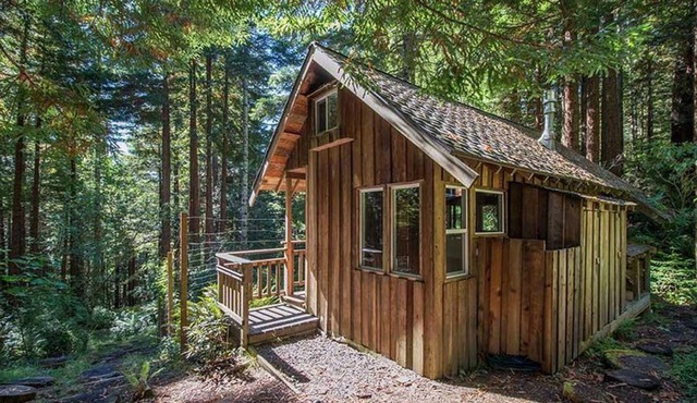 2 Rustic Cabins+Treehouse On Creek in Redwoods