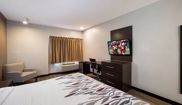 2 Scenic Budget Rooms Near Tucson Local Wildlife Spots