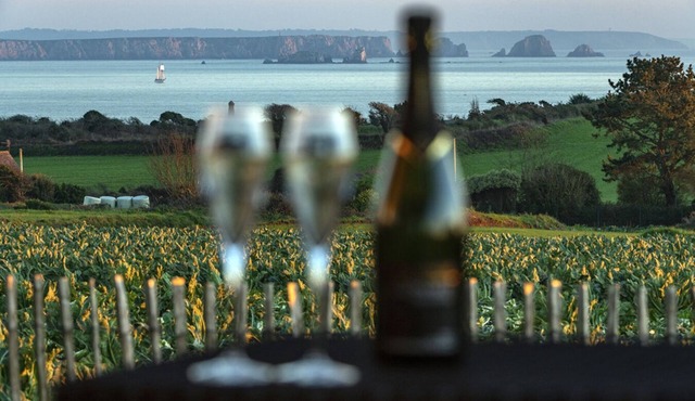 2 seaside houses, 2 spa, enclosed property, luxury, Finistère