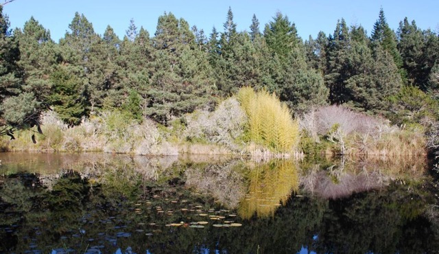 2 Seperate Cottages on 50 + acre Mendocino Tranquility Meadows Nature Sanctuary