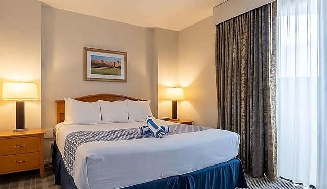 2 Spacious Units, Outdoor Pool, Kitchen, Free Parking!