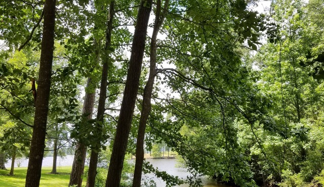 2 story cottage 2 bedroom 1 bath lake access seasonal. Six Mile on Toledo