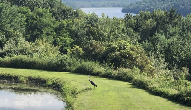2 Story Home~ Retreats ~ Hot Tub ~ Sauna ~ Complete Privacy