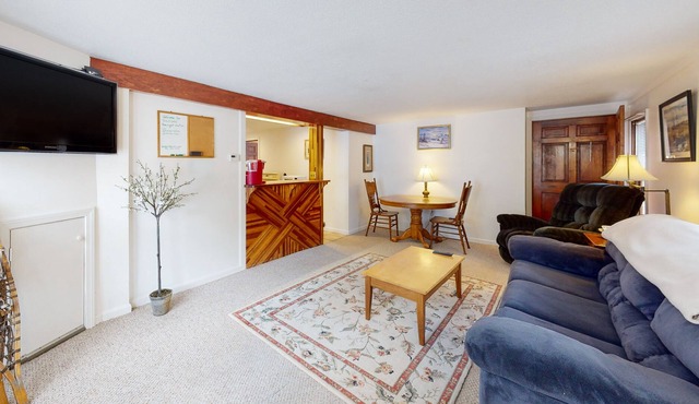 2-story riverfront apt with mountain views, firepit, 2 canoes, hammock, & AC