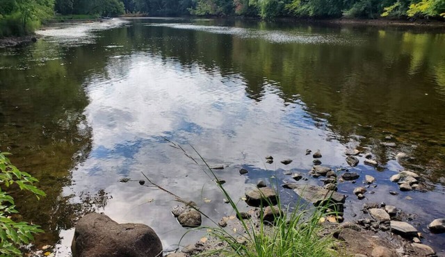 2 Tiny cabins on the River for the whole family