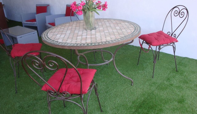 2 to 3 person gîte with jaccuzi in Camargue on the banks of the Petit Rhône.