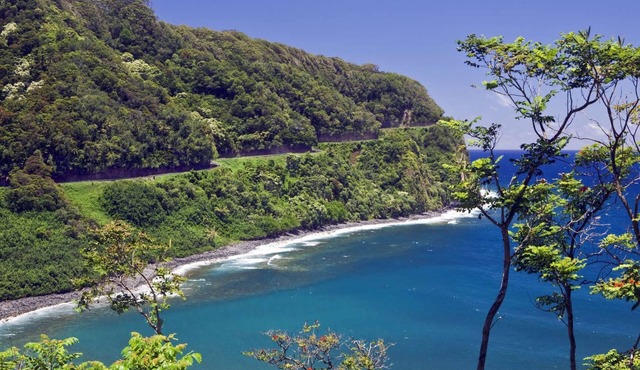 2 Units in International Colony Club, Sleeps 12