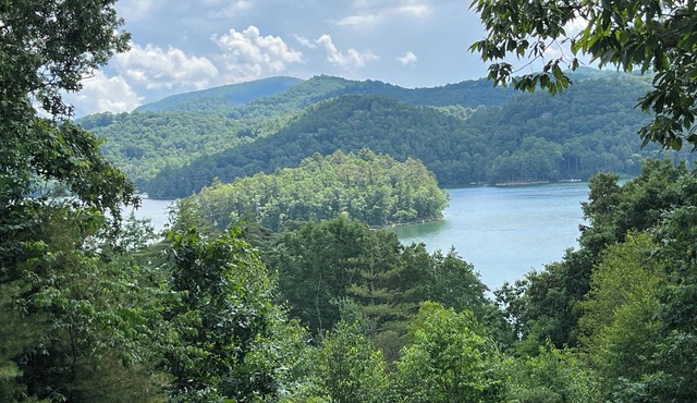 2 Views! Front view of Lake Glenville & back view of Christmas Tree farm!