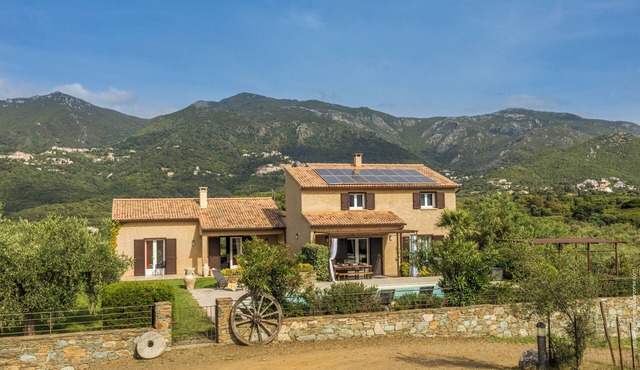 2 villas with swimming pool in an olive grove in Corsica - near Saint-Florent