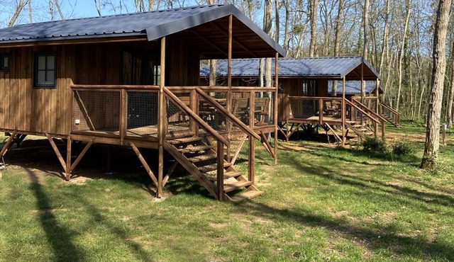 2 wooden cabins in the heart of nature in the Chanteloup forest