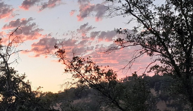 20 acre luxury glamping grounds