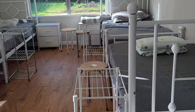 20 dollars only man's bed in the living room
