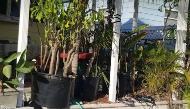 20 ft from your room to a clean canal full of fish and lobsters and crabs.