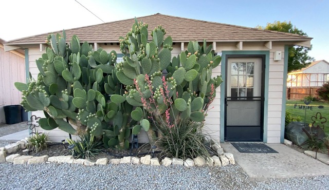 20 minutes from Carrizo Plain National Monument. Twisselman's Cactus Casa