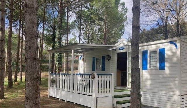 20 Mobilhome Sous les Pins Calme Verdure Clim 4 Couchages