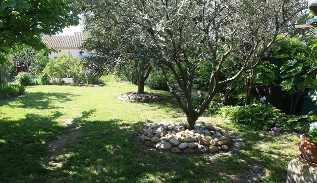 200 meters from the heart of the village, App 55 M² WiFi In a closed courtyard, quiet