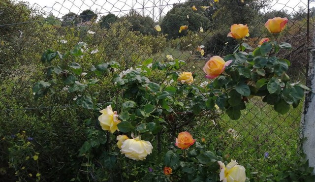 2000 meters of garden surrounded by nature