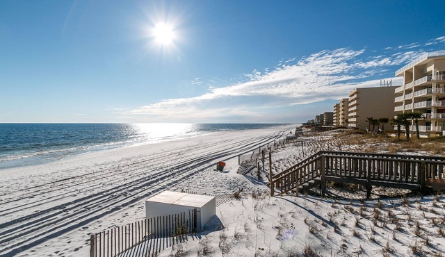 202 Tropical Isle Studio Suite- Steps to Beach! Reduced MONTHLY Rates