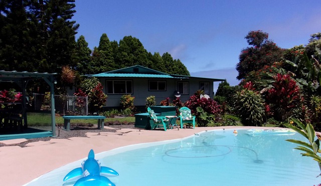 2024 NEW YEAR SPECIAL 🎉 1600 Dollars Per Week Jan 2024