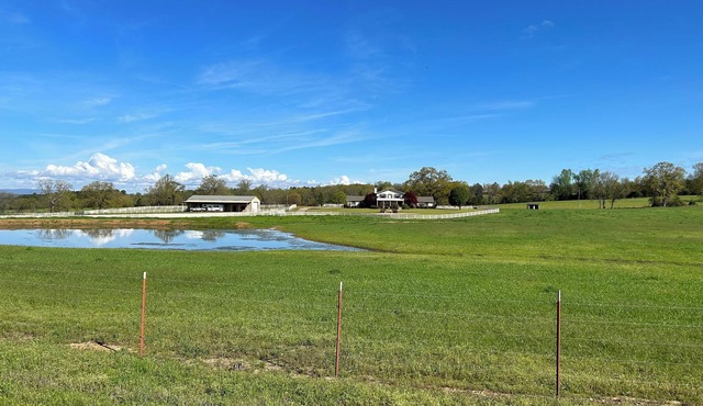 2024 Solar Eclipse Destination at Two Creeks Ranch. No light pollution
