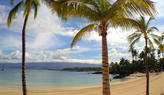 2026 in Hawaii! See Our Location!.Read Our Reviews!.So Many Extras!