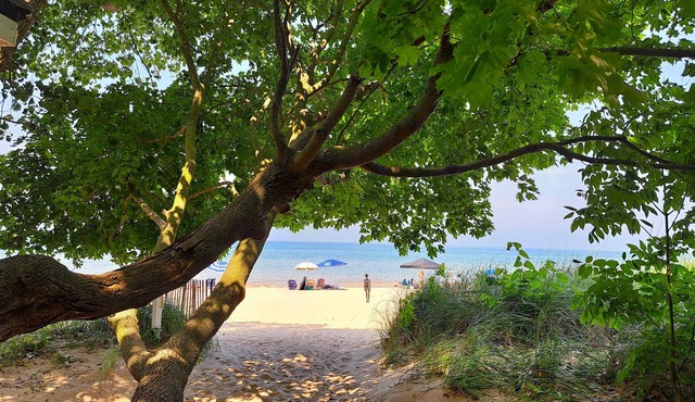 2026 Open Beach Lovers home w/Private Assoc Beach 1 blk fire pit scrnd porch