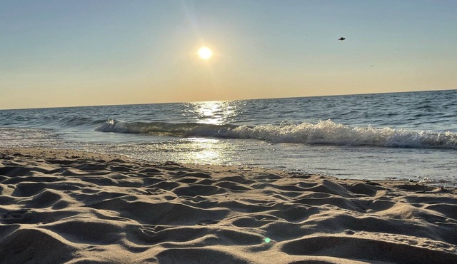 2026 Open Serene Wooded lot fire pit hot tub screened porch