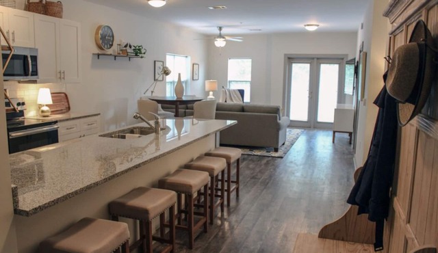 209 LUXURY DOWNTOWN 2BED/2BA CONDO, sleeps 6!