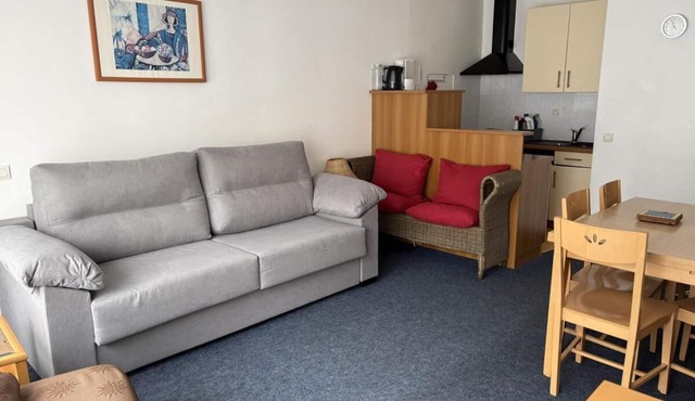 20m from resort center, 1st floor, view ski slopes, fitness, swimming pool, sauna, tv, ski locker