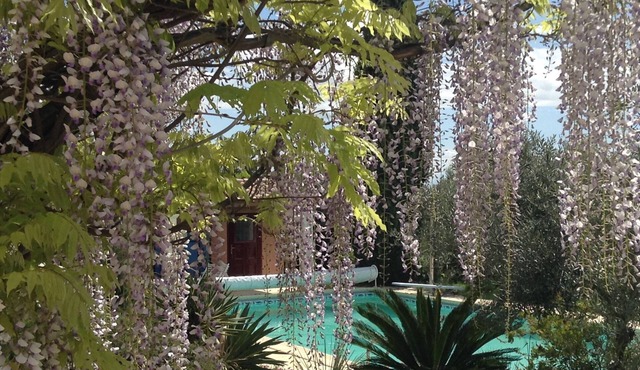 210 m2 villa, fully air-conditioned, large swimming pool, garden, breathtaking view