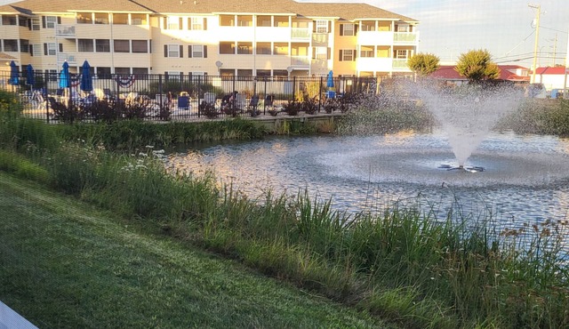 2103 Palms, 2-bedroom condo, Many June dates still available at discounted rates