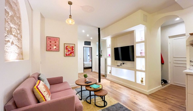 224 - Central Large Parisian Flat